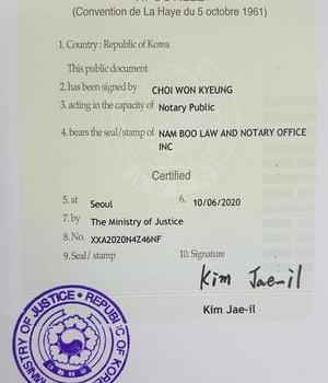 외교부 손실증명서 apostille 