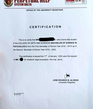 UNIVERSITY OF PERPETUAL HELP S