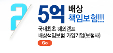 프레버 영어캠프 역사