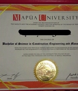 MAPUA UNIVERSITY