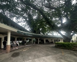 S`t la salle Bacolod 초중고, 대학교 
