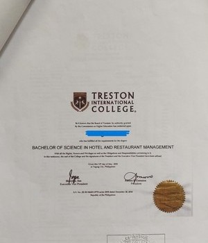 TRESTON INTERNATIONAL COLLEGE 