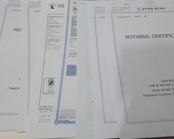 AUP대학교 25년 1월 입학 서류