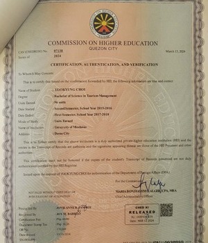 UNIVERSITY OF MINDANAO 