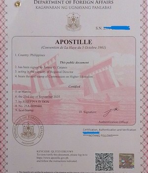 DLSU 메인본교 라살대학교 아포스티유 외교부서류 25