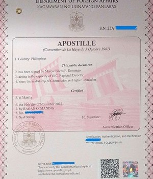 25년 11월 10완료 Mapua institute T